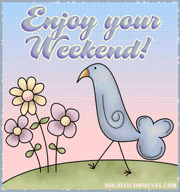 Enjoy Weekend Bird Picture