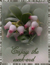 Enjoy Weekend Flowers Picture
