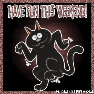 Fun Weekend Cat Picture