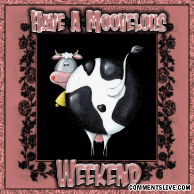 Moovelous Weekend picture