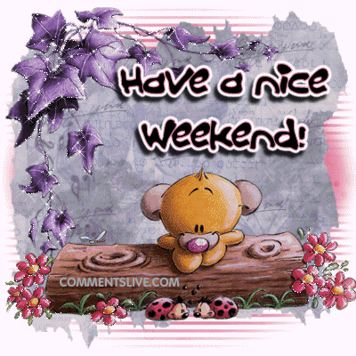 Nice Weekend Bear Picture