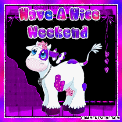 Nice Weekend Pony Picture