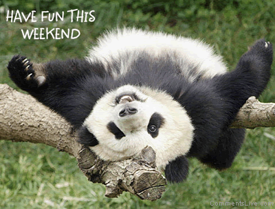 Relaxing Panda picture