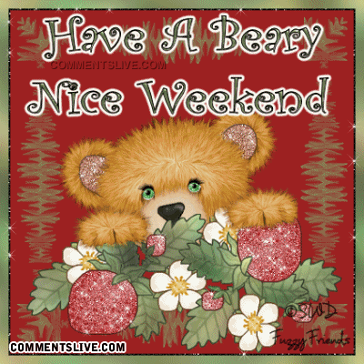 Weekend Beary Nice picture