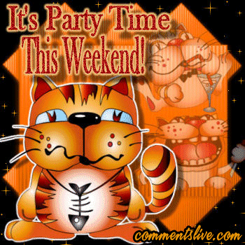 Weekend Cat Party Picture