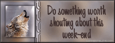 Weekend Shout Picture