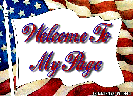 Welcome Flag picture