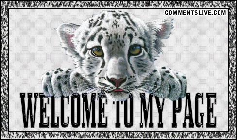 To My Page Tiger