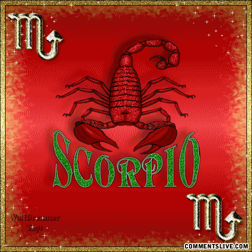 Scorpio picture