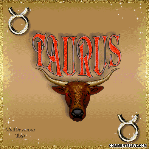 Taurus Picture
