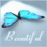 Beautiful Butterfly avatar
