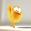 Big Eyed Chick avatar