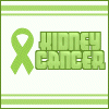 Kidney Cancer avatar