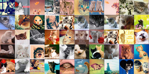 Kittens Collage