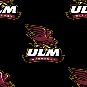Ulm Warhawks