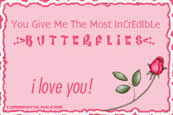 Incredible Butterflies picture