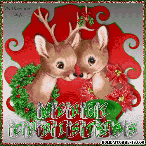 Reindeer Couple Picture