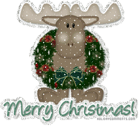 Reindeer Merry Picture