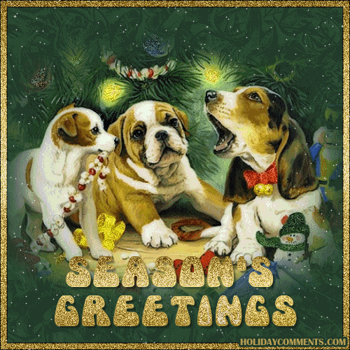 Seasons Dogs Picture