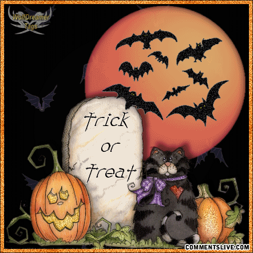 Halloween Cat Picture