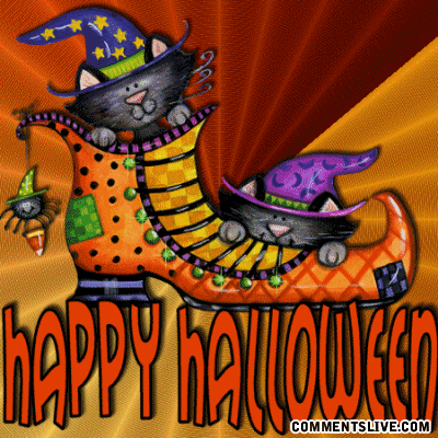 Halloween Cat In Shoe Picture