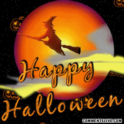 Halloween Witch On Broom Picture