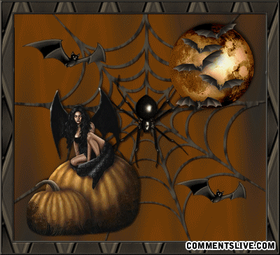 Spider And Bats Picture