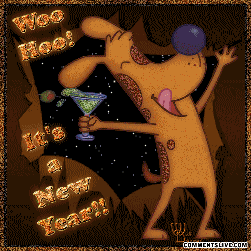Woo Hoo New Year Picture