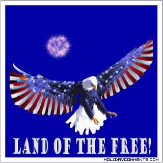Land Of The Free Eagle Picture