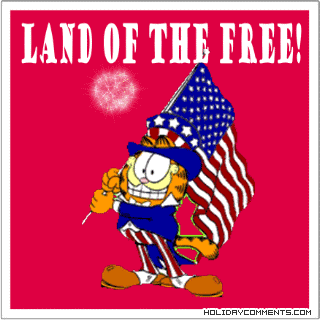 Land Of The Free Picture