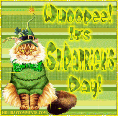 Whoopee St Pat Cat Picture