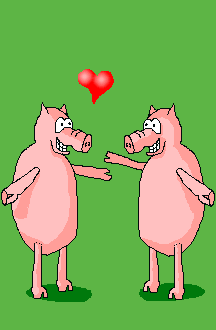 Pigs In Love