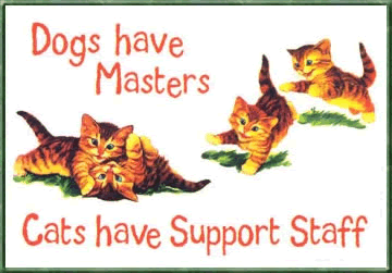 Dog Master Cat Support