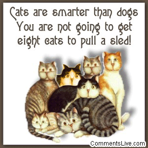 Cats Smarter