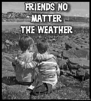 Any Weather Friends