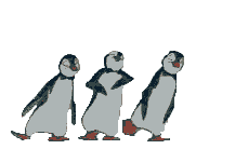 Dancing Penguins picture