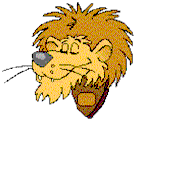 Lion picture