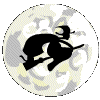 Moon Witch picture