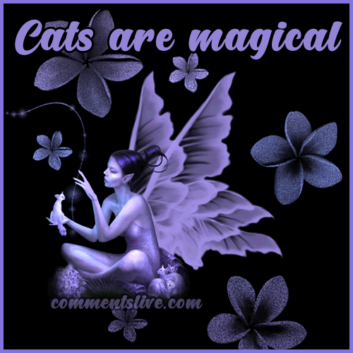Cats Are Magical picture