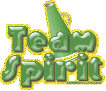 Team Spirit picture
