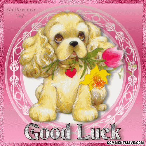 Good Luck Puppy picture