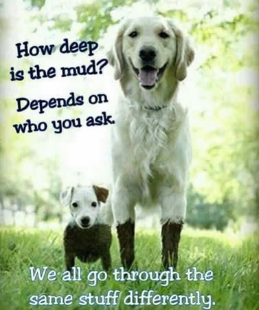 How Deep Is The Mud picture