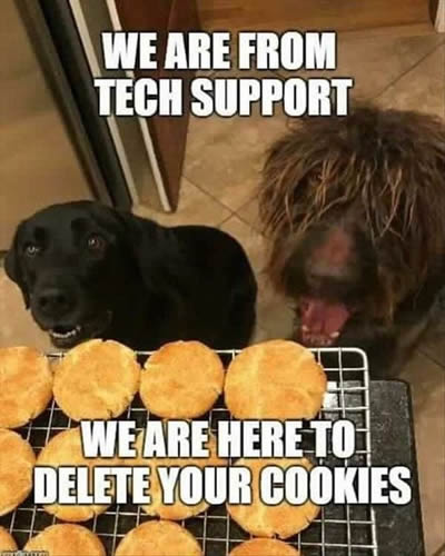 Tech Support picture