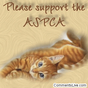 Aspca Cat picture