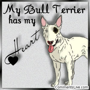 Bull Terrier Heart picture