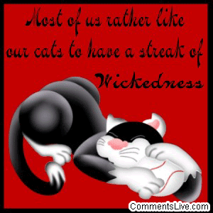 Cats Wickedness picture