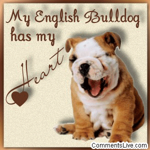 English Bulldog Heart picture
