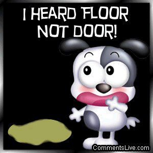 Heard Floor picture