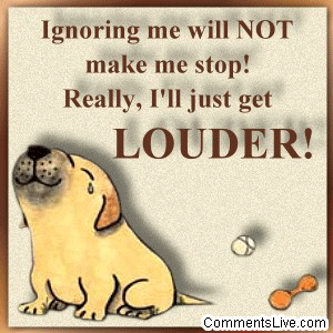 Ignoring Makes Louder picture