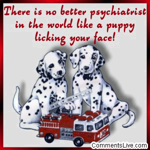 Puppy Psychiatrist picture